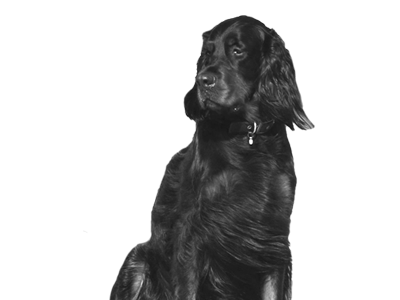 benson