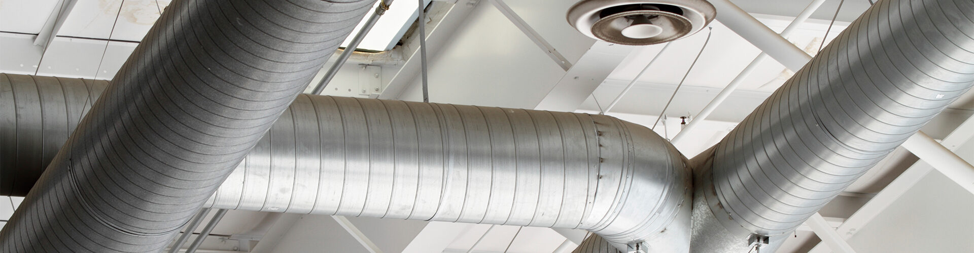 sarum-header