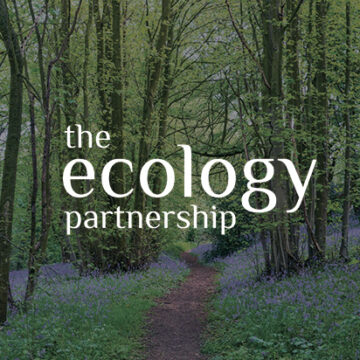 theecology-featured-image