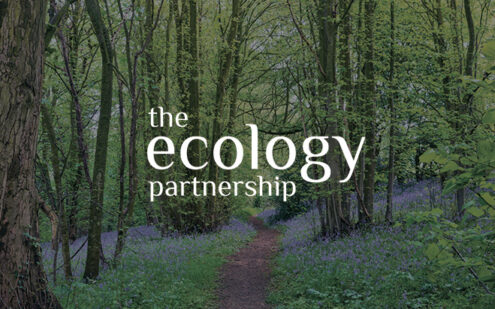 theecology-featured-image